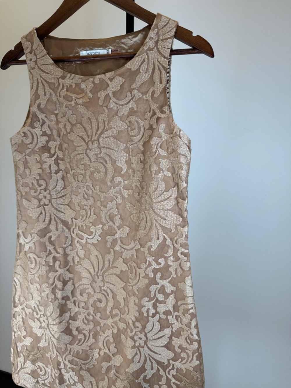 Lucy Paris Sleeveless Lace Shift Dress - Golden Tan/Nude | Size S - Picture 4 of 11